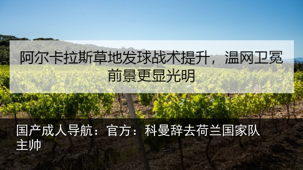 国产成人导航：官方：科曼辞去荷兰国家队主帅