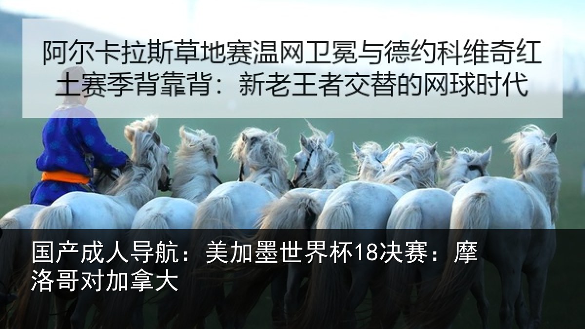 国产成人导航:美加相关情况哥对加拿大