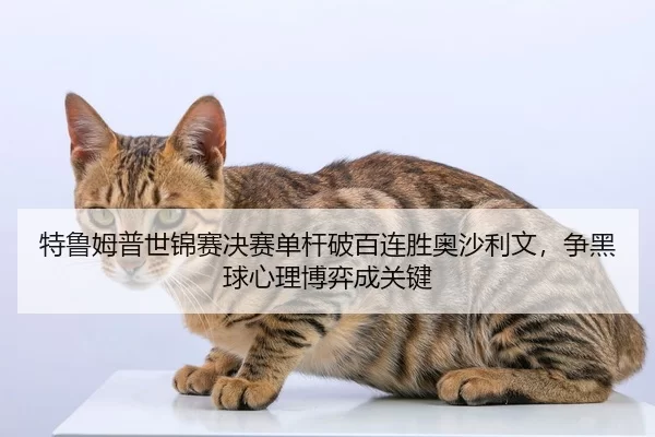 特鲁姆普世锦赛决赛单杆破百连胜奥沙利文，争黑球心理博弈成关键