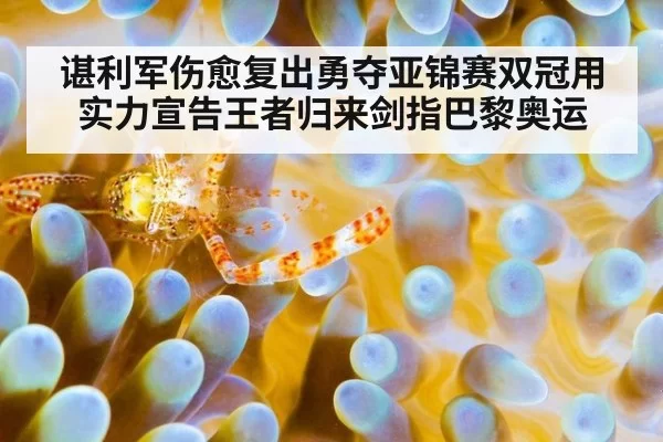 谌利军伤愈复出勇夺亚锦赛双冠用实力宣告王者归来剑指巴黎奥运